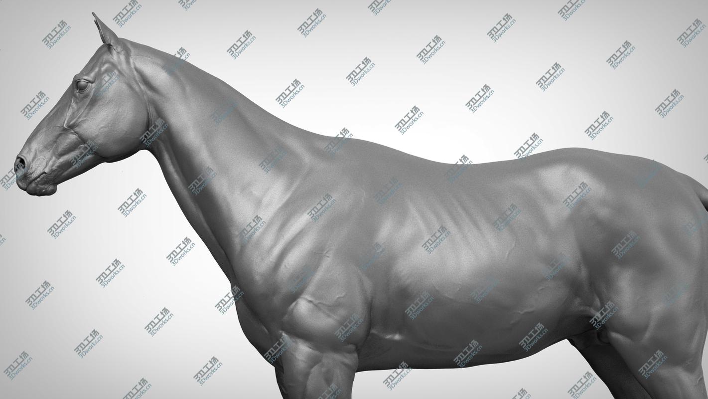 images/goods_img/20210313/3D Base Horse v2/3.jpg